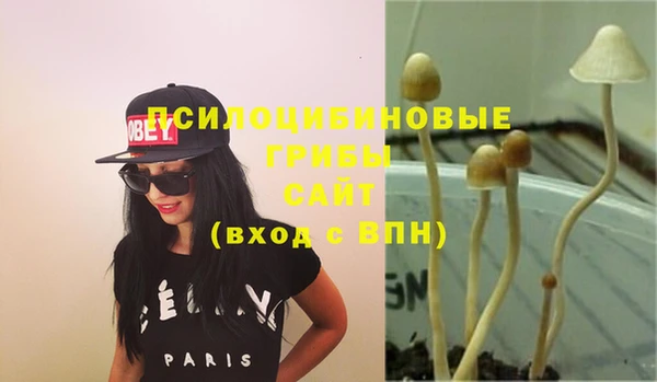 apvp Балабаново