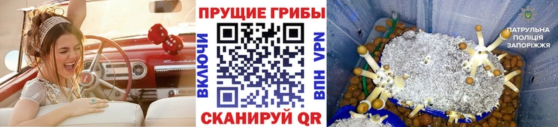 Псилоцибиновые грибы мухоморы  купить   Сретенск 